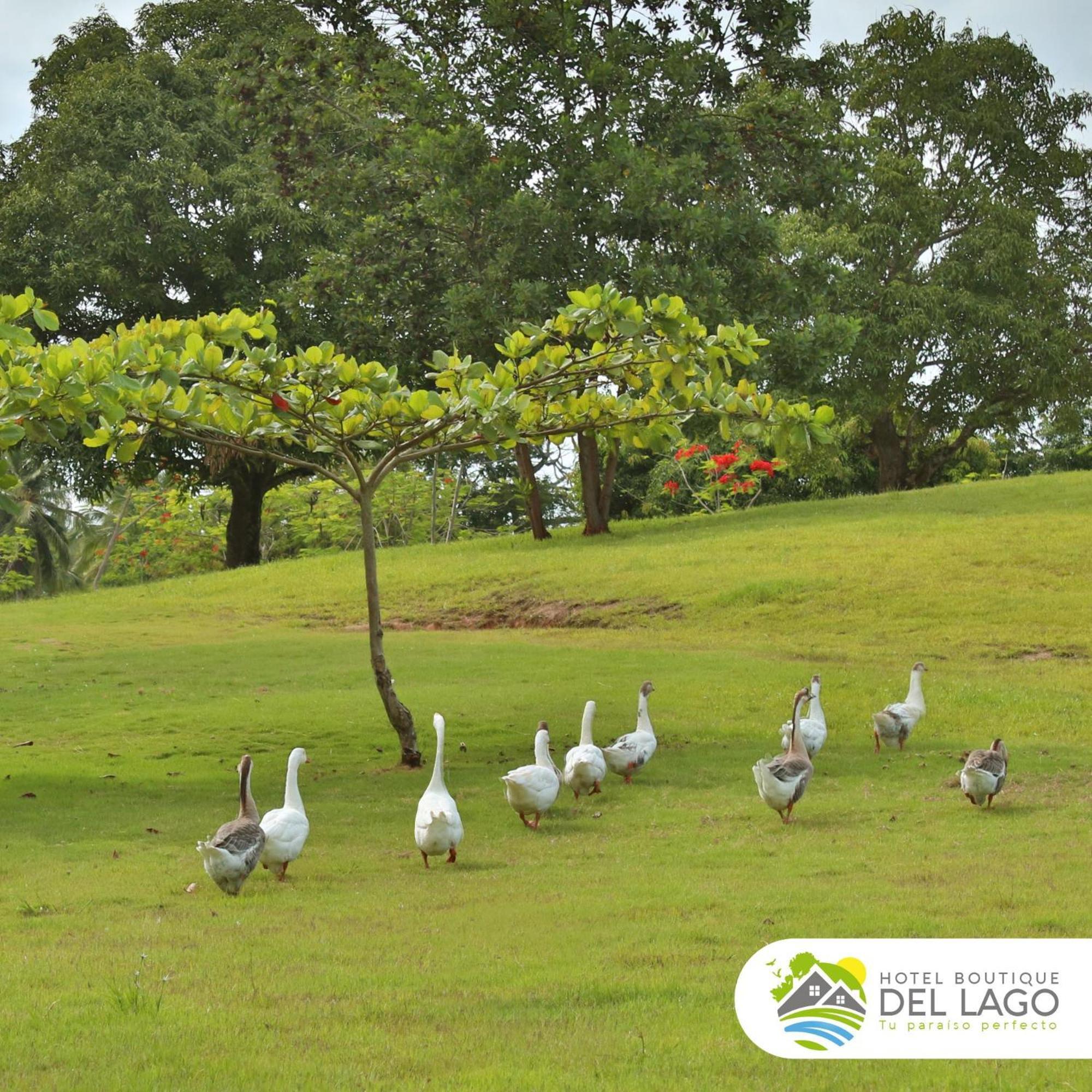 Hotel Boutique Del Lago Nagua Buitenkant foto